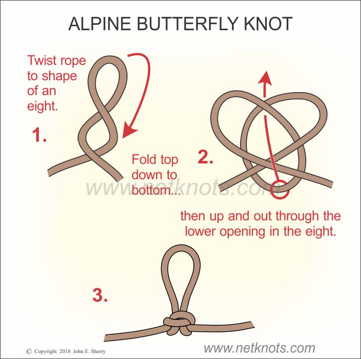 Alpine Butterfly Knot How To Tie An Alpine Butterfly Knot All Knots Animated