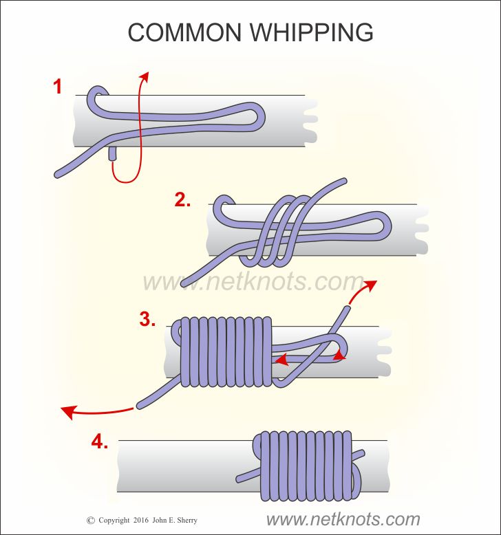 Common Whipping