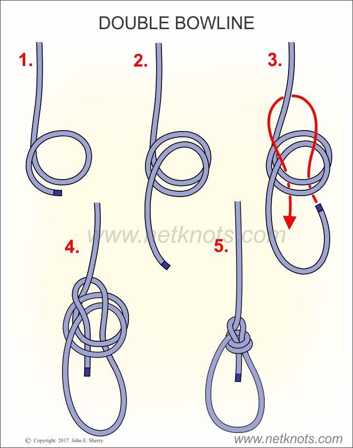 Double Bowline Knot animated and illustrated