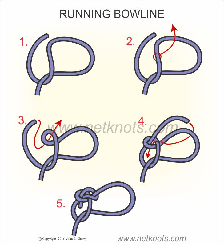 Running Bowline - How to tie a Running Bowline