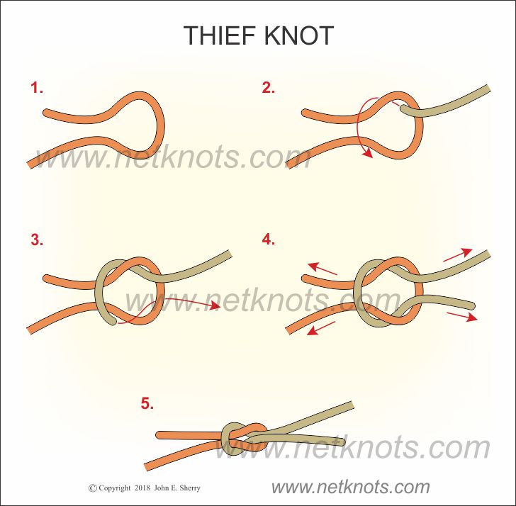 Knot