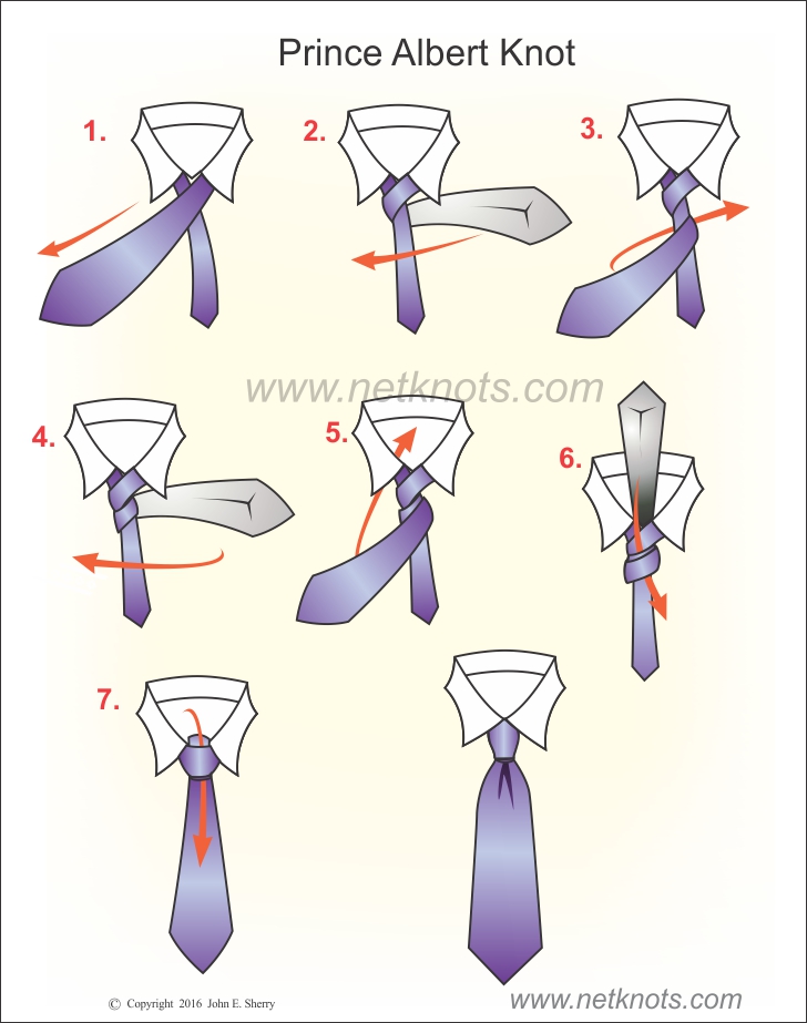Prince Albert Knot animated, illustrated and described