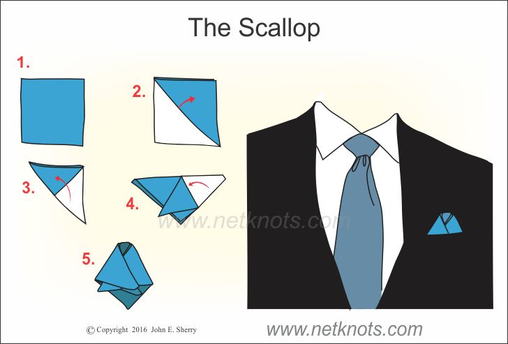 The Scallop pocket square illustrated and explained | Netknots