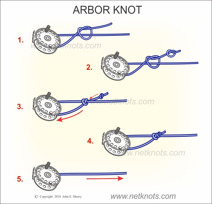 How to tie the Arbor Knot animated and illustrated