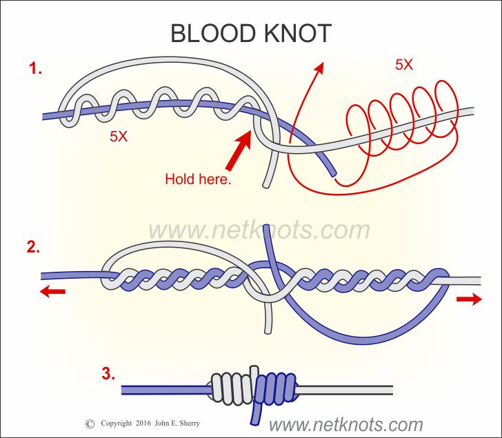 How to tie a Blood Knot