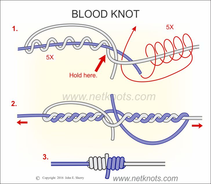 Video Pro Tips: How to Tie a Blood Knot - Orvis News