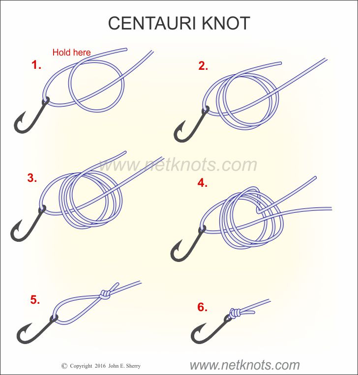 Centauri Knot