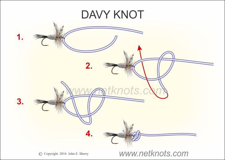 Davy Knot