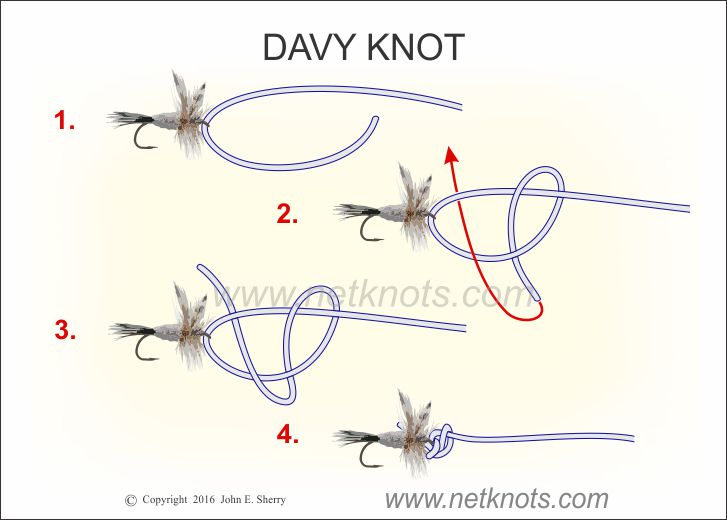 Learning fishing knots.