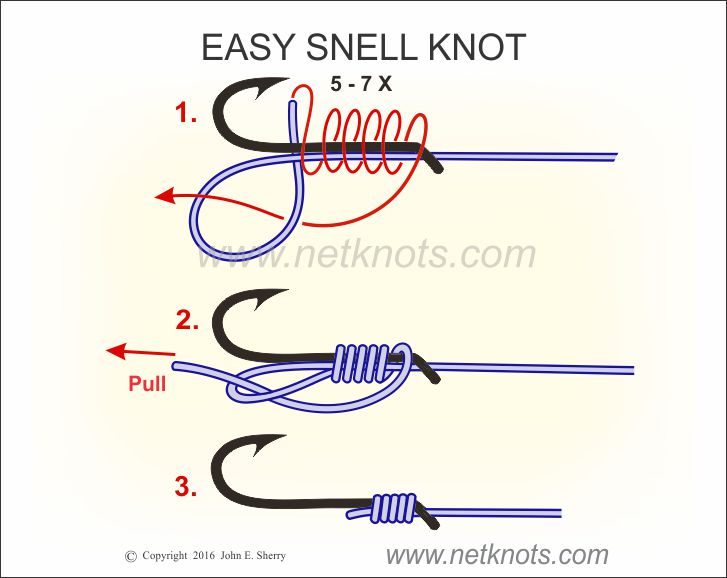Easy Snell Knot