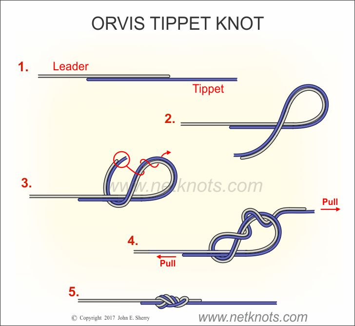 Orvis Tippet Knot - How to tie the Orvis Tippet Knot