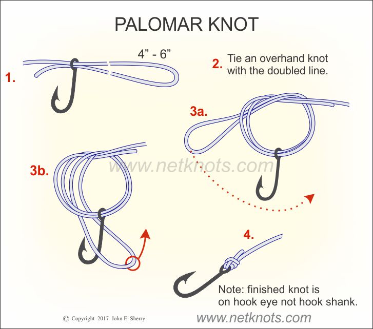 Palomar Knot - How to tie a Palomar Knot | Fishing Knots
