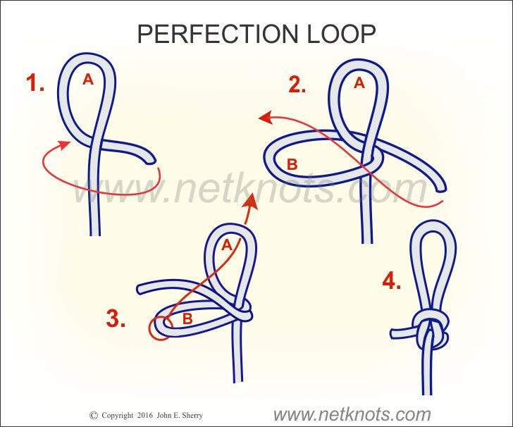 Perfection Loop - How to tie a Perfection Loop