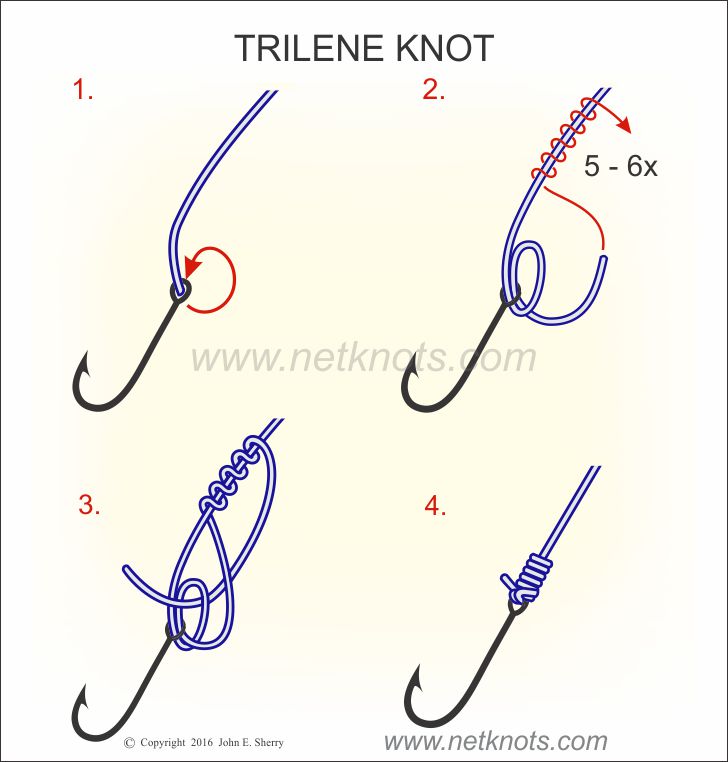 Fishing Knots: Trilene Knot - One of the BEST Fishing Knots for Mono or Fluorocarbon  Line 