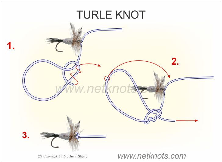 Turle Knot