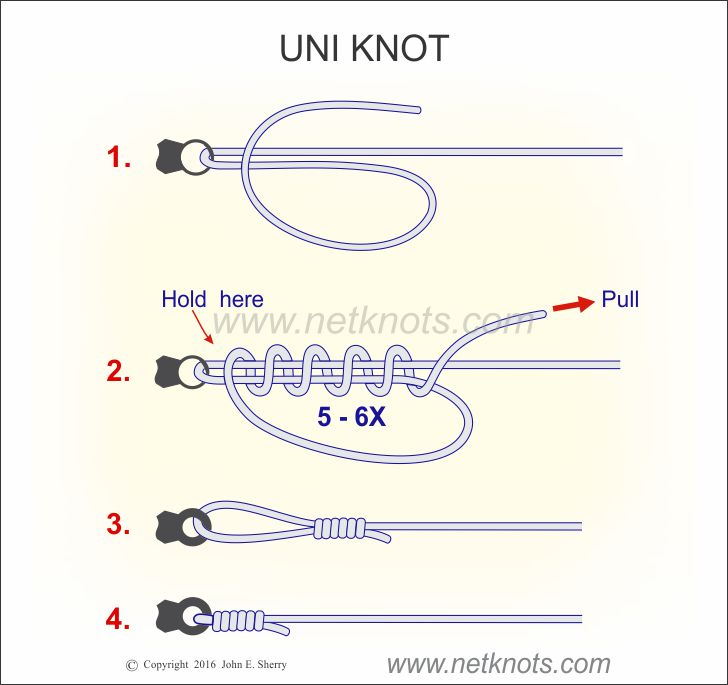 6 Easy, Effective Ways to Tie a Fishing Knot