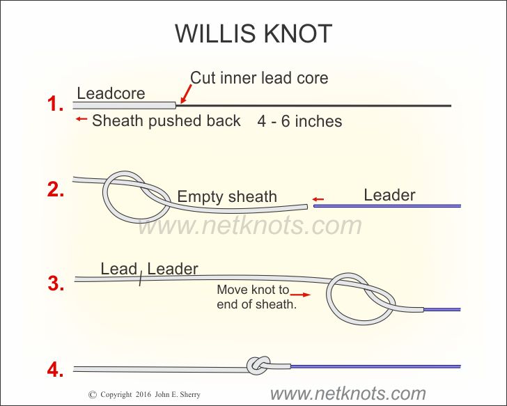 Willis Knot