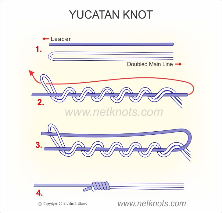 Yucatan Knot